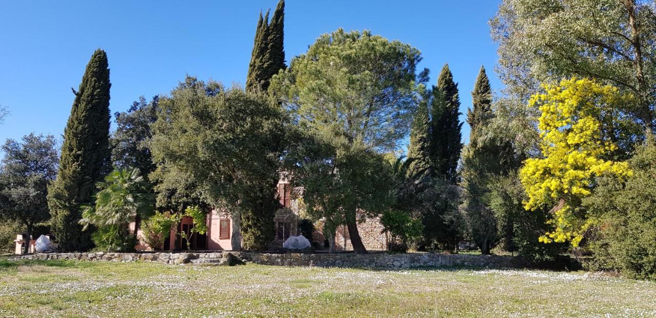 Podere La Fornace Ravi Exteriör bild