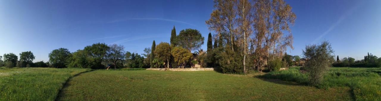 Podere La Fornace Ravi Exteriör bild